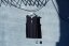 tank top B7KE large print back - Velikost: L